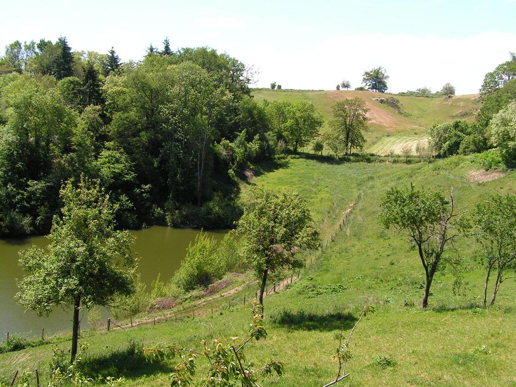 Gite De Carbonies Saint-Félix-de-Lunel Exteriör bild