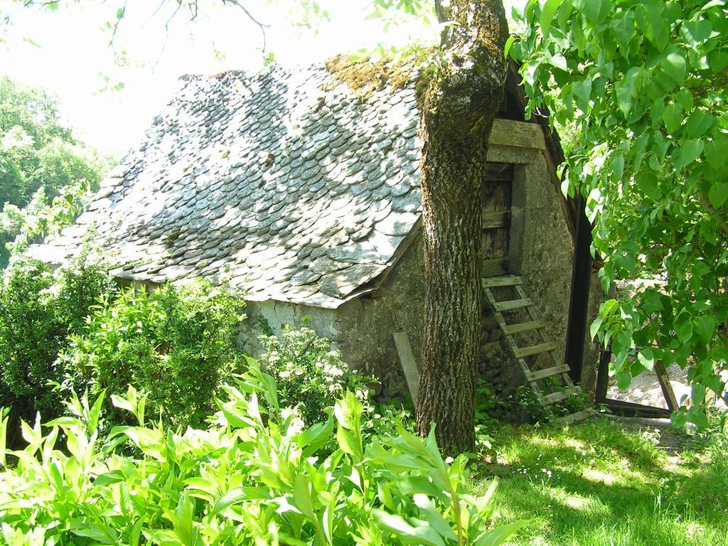 Gite De Carbonies Saint-Félix-de-Lunel Exteriör bild